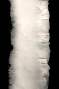 Putenfransen 12,5-15cm