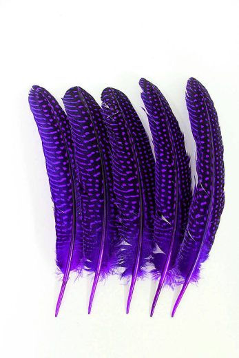 Perlhuhnflügelfedern lila 5g Pack