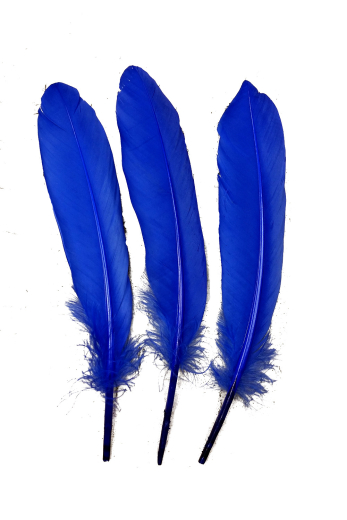 Gänsefeder 17-22cm blau 10g Pack