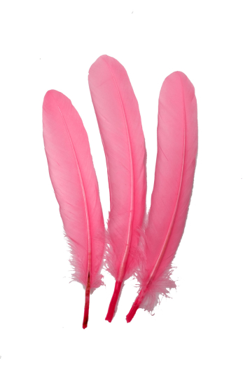 Gänsefeder 17-22cm pink 10g Pack