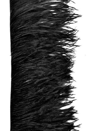 Straußenfranse 2-fach lang schwarz
