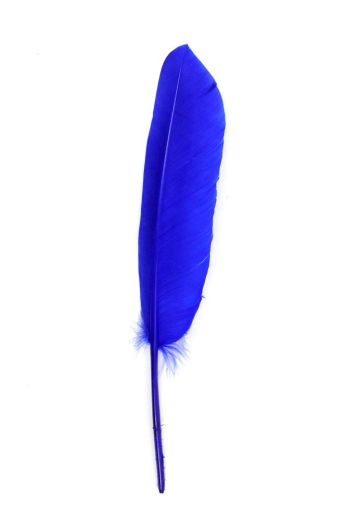 Gänsefeder 22-27cm, blau, rechts, 10er Pack