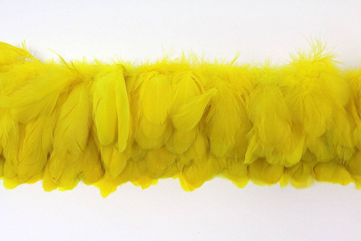 Hahnenschlappen 10-15cm gelb