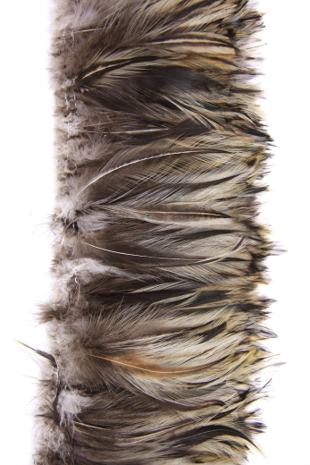 Hahnenhals 7-15cm badger