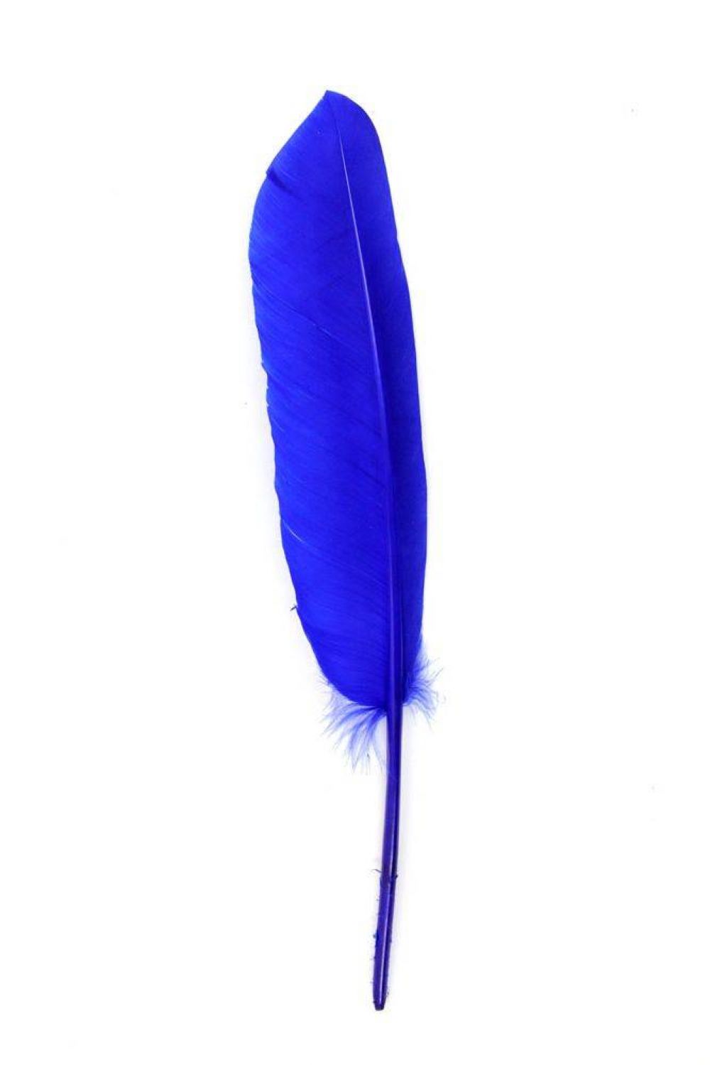 Gänsefeder 22-27cm, blau, links, 10er Pack
