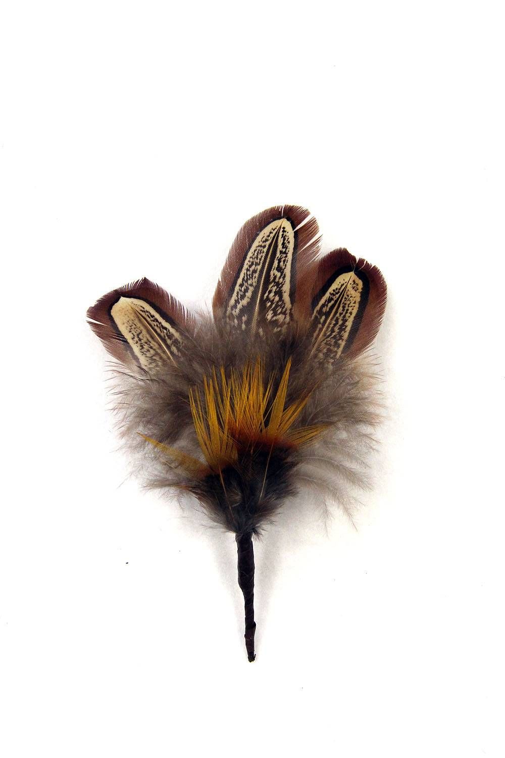 Hat Flower Ringneck Amherst Pheasant