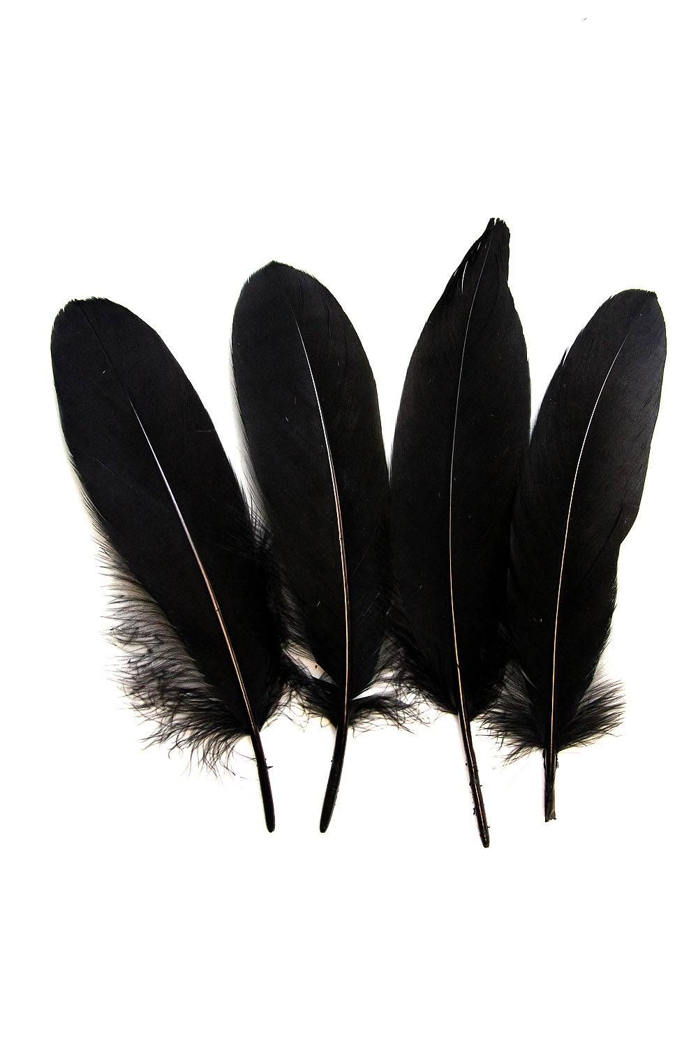 Goose Nageoires ca. 20cm black 10g Pack