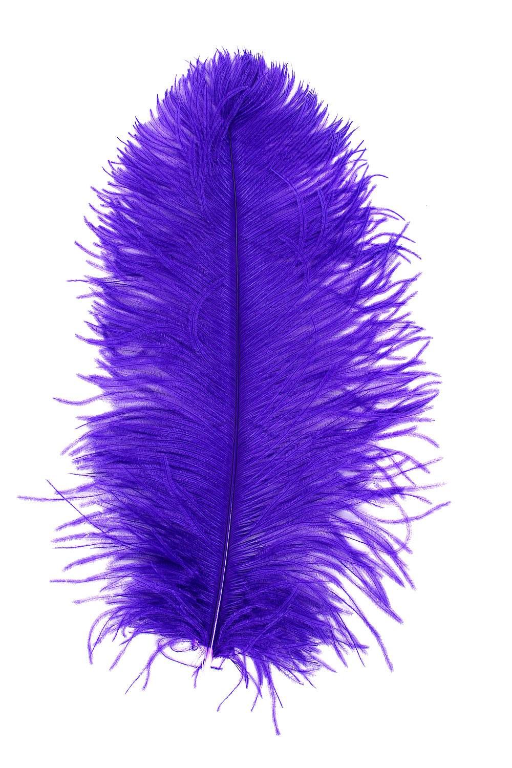 Ostrich Wing carneval Q. 40/50cm purple