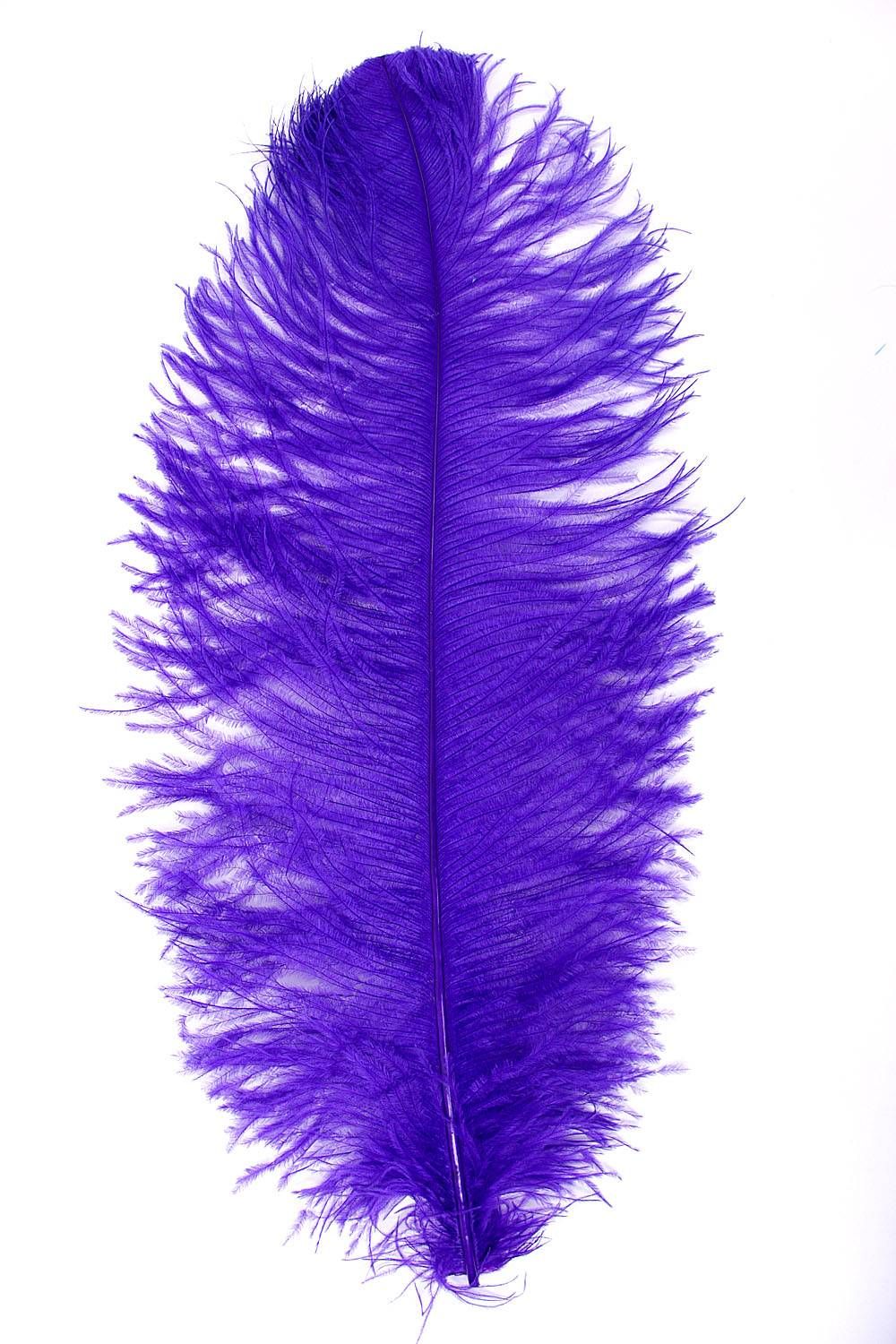 Ostrich Wing carneval Q. 60/70cm purple