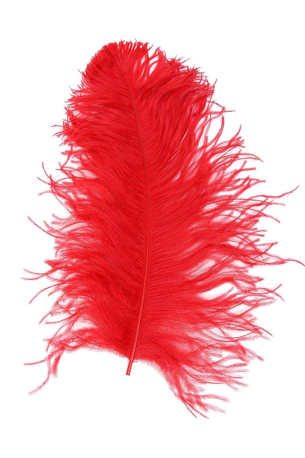 Ostrich Wing middle Q. 40/50cm red