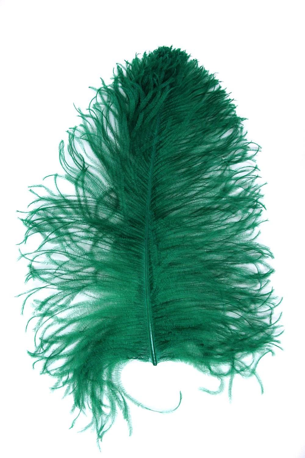 Ostrich Wing selected Q. 40/50cm green