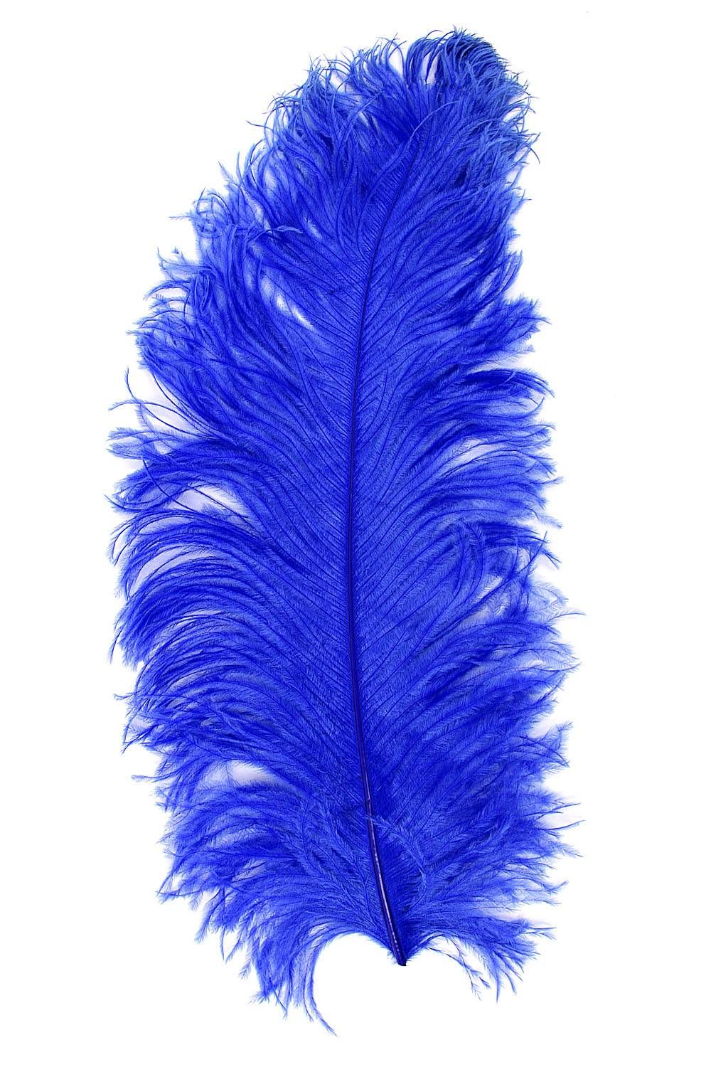 Straußenfeder Ausgesucht 60/70cm blau