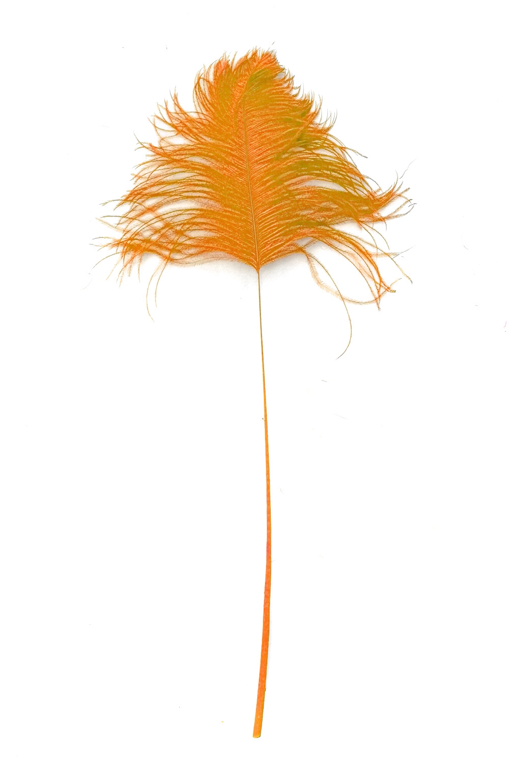 Straußenblinker orange 40-50cm