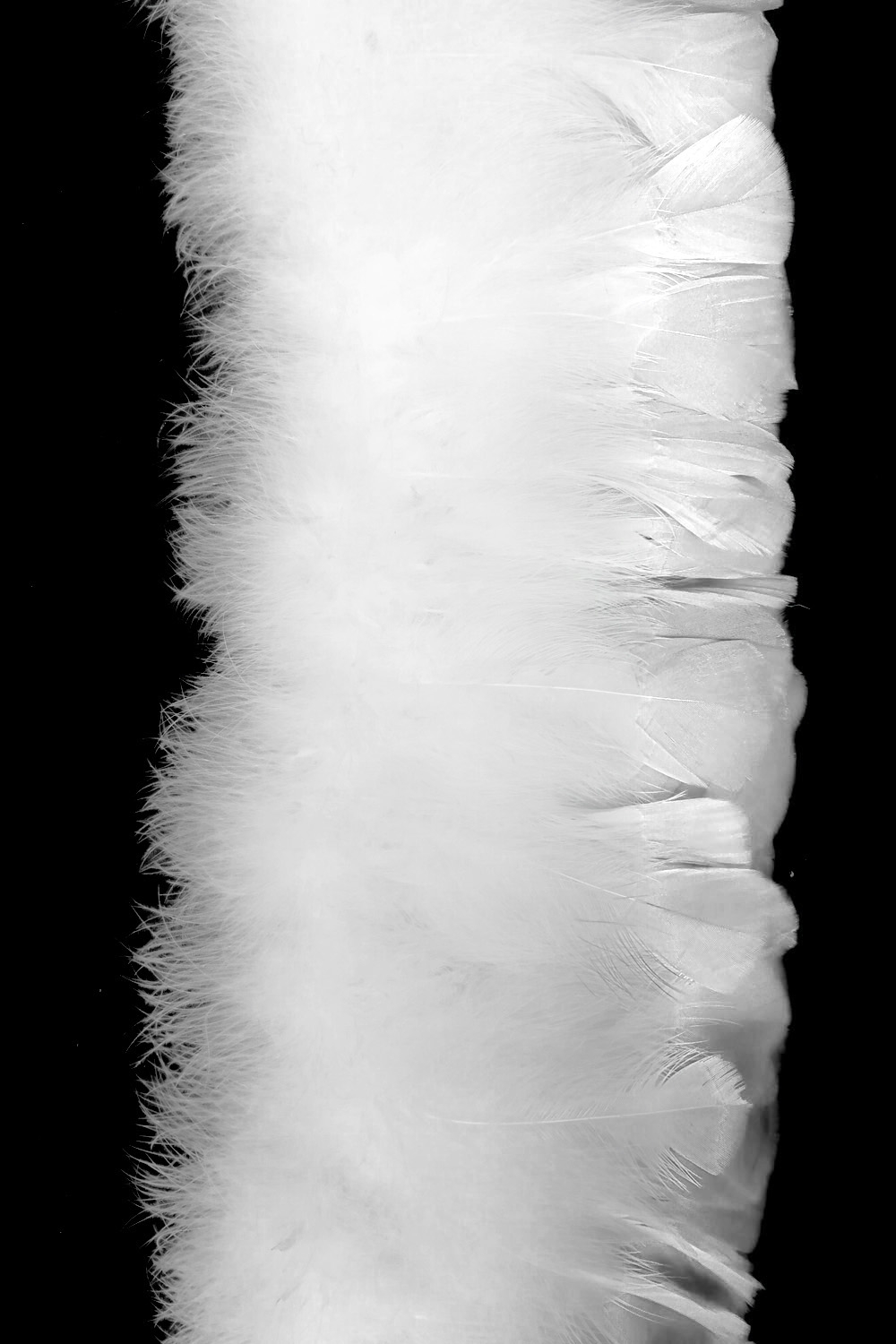 Putenspiegelfranse 12,5-15cm weiß