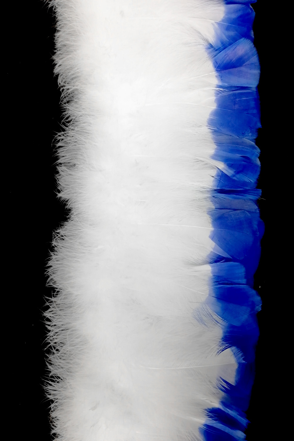 Putenspiegelfranse 12,5-15cm weiß-blau