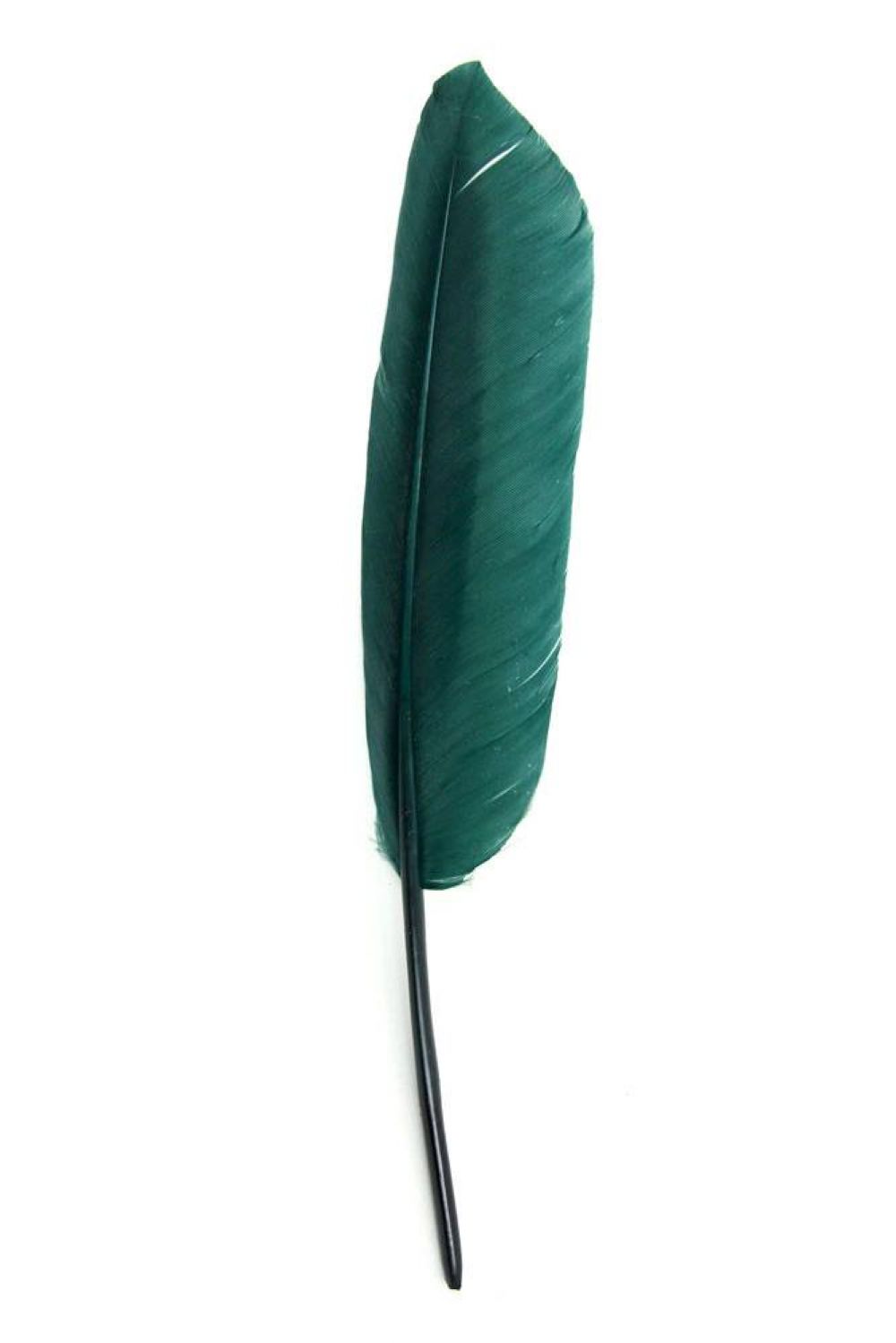 Gänsefeder 22-27cm, dunkelgrün, rechts, 10er Pack