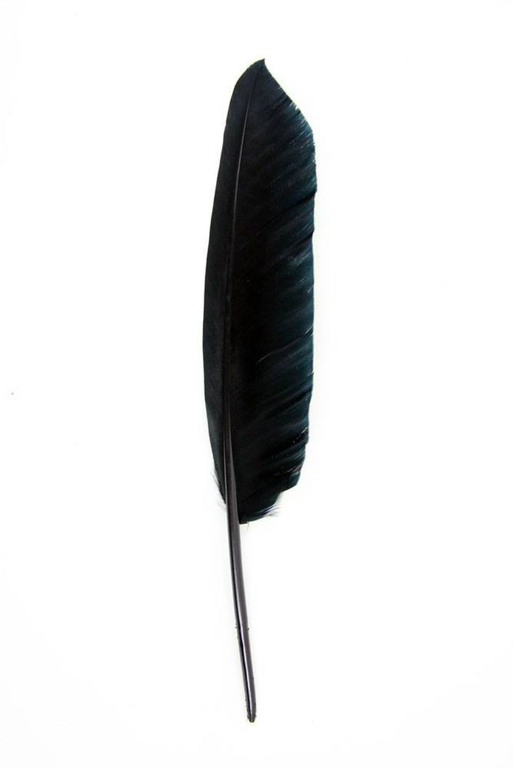 Goose Pointers 22-27cm, black, Pack of 10