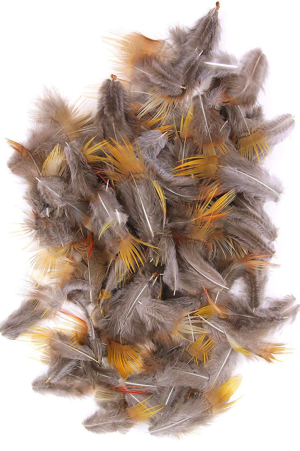 Golden Pheasant Plumage Yellow Body 5g PACK