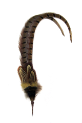Hutfeder Wildfasan LadyAmherst