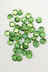 Pailletten 12mm hellgrünholo 40g PACK