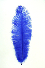 Blondine 2.Wahl blau