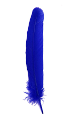 Putenkiele blau rechts 10er Pack