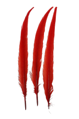 Wildfasanfedern 1.Wahl 30-35cm rot 10er PACK