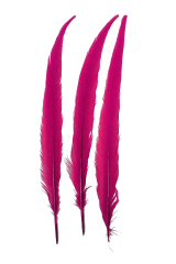 Wildfasanfedern 1.Wahl 30-35cm pink 10er PACK