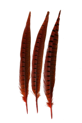 Wildfasanfedern 1.Wahl 30-35cm orange 10er PACK