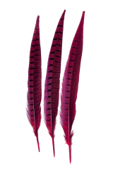 Wildfasanfedern 1.Wahl 30-35cm pink 10er PACK