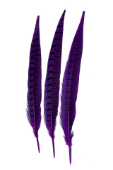 Wildfasanfedern 1.Wahl 30-35cm lila 10er PACK