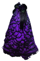 Lady-Amherstfasan Tolle lila