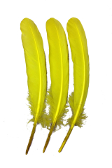 Gänsefeder 17-22cm gelb 10g Pack