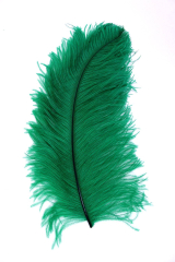 Ostrich Wing carneval Q. 40/50cm green