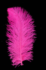 Straußenfeder Karneval 40/50cm hotpink