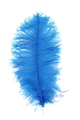 Straußenfeder Karneval 40/50cm türkis