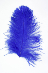 Straußenfeder Mittel 40/50cm blau