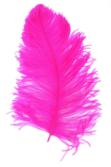 Ostrich Wing middle Q. 40/50cm hothotpink