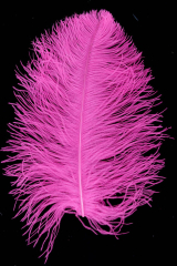 Straußenfeder Ausgesucht 50/60cm hotpink