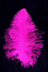 Straußenfeder Ausgesucht 50/60cm hothotpink