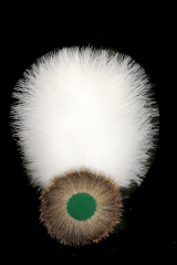 Adlerflaumimitat 9012