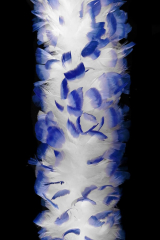 Putenboa 1-fach kurz, weiß mit blauen Spitzen, 2,5m