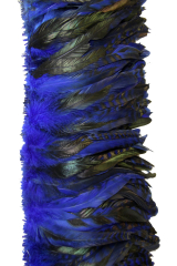 Hahnenschlappen Chinchilla 10-15cm blau