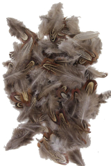 Ringneck Pheasant Plumage Almond, 20g PACK