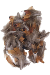 Ringneck Pheasant Plumage Gold Sides 20g PACK