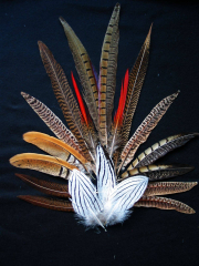 Pheasant Pack Small