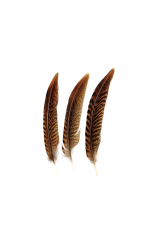 Goldfasanfedern 1. Wahl, 10-15cm, 10er PACK