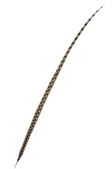 Königsfasanfedern 1. Wahl, 140-150cm