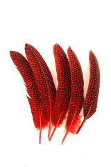 Guinea Fowl Wings red, 5g PACK