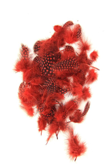 Perlhuhnrupf rot 10g PACK